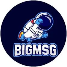 bigmsg - Lacak Lokasi APK